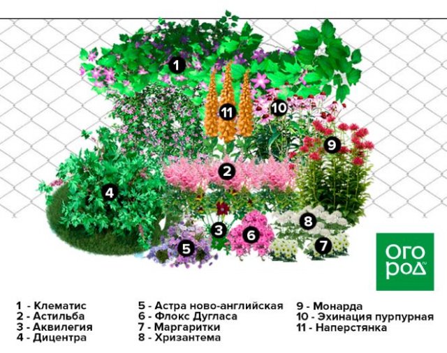 Схема клумбы вдоль забора